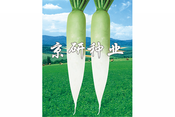 天麗2號(hào)